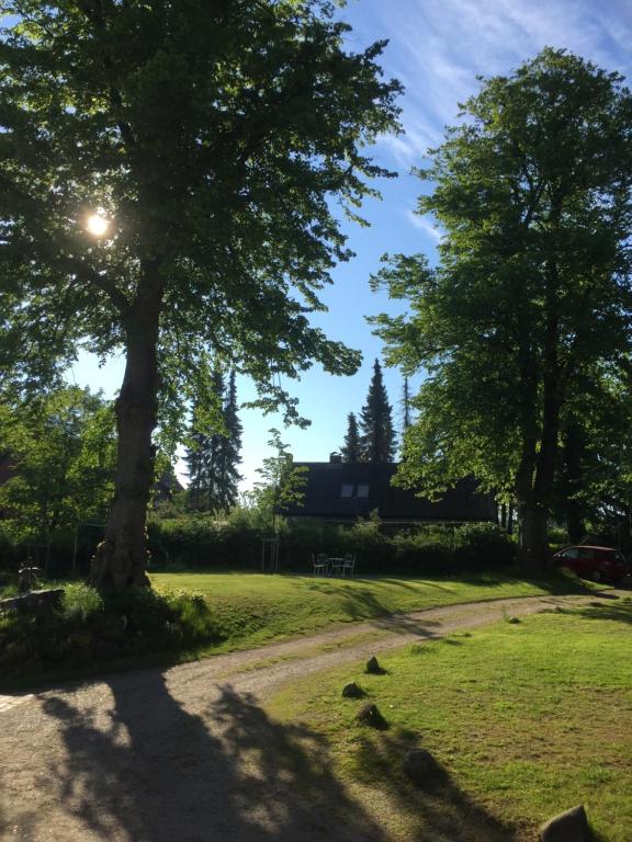 Herrenhaus Hohewarte - 15