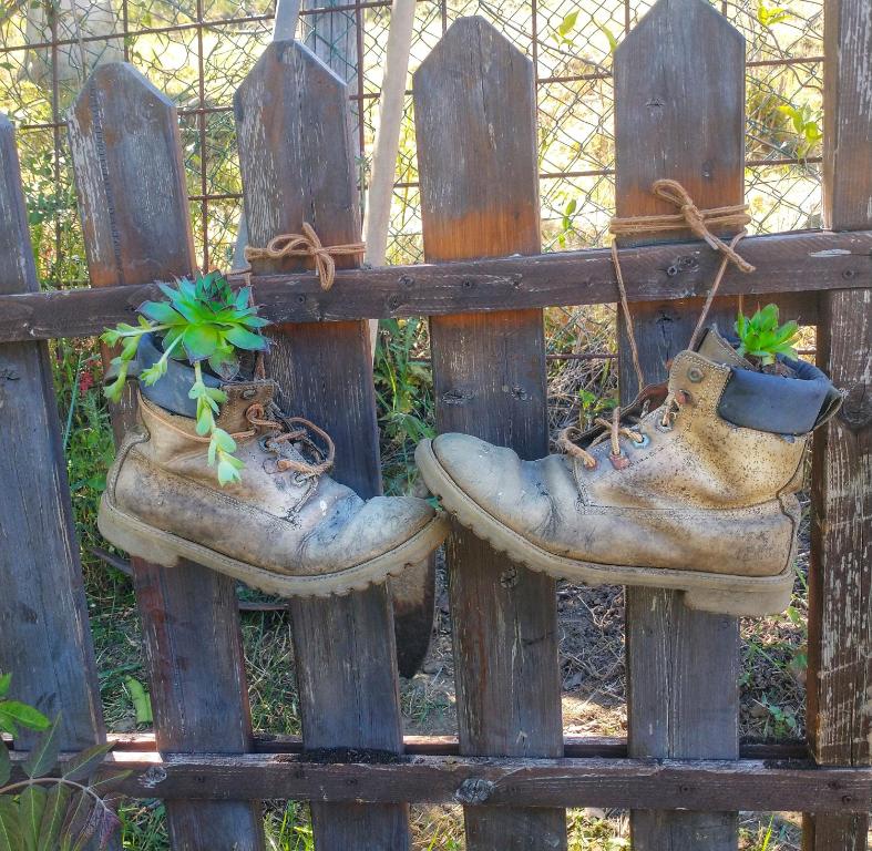 Zdjęcie z galerii obiektu La fonte di Gaiche w mieście Collebaldo