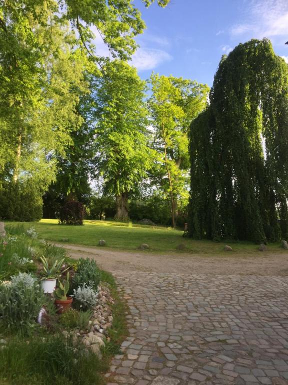 Herrenhaus Hohewarte - 18