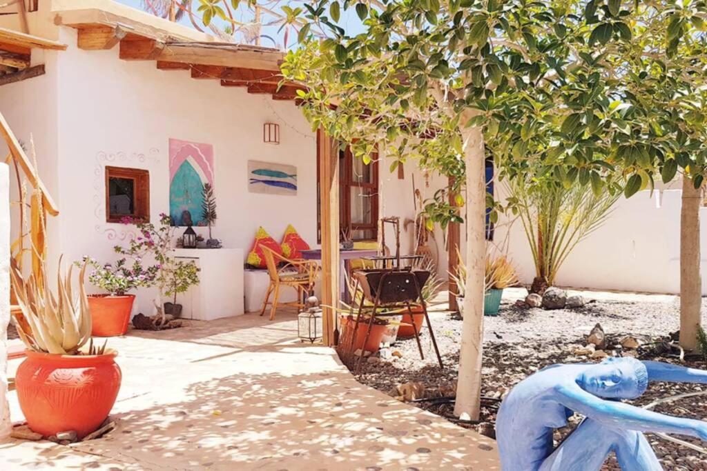 a house with a garden with plants in it at Tranquila Tierra - Eco Retreat Finca Artis Tirma in Tarajalejo