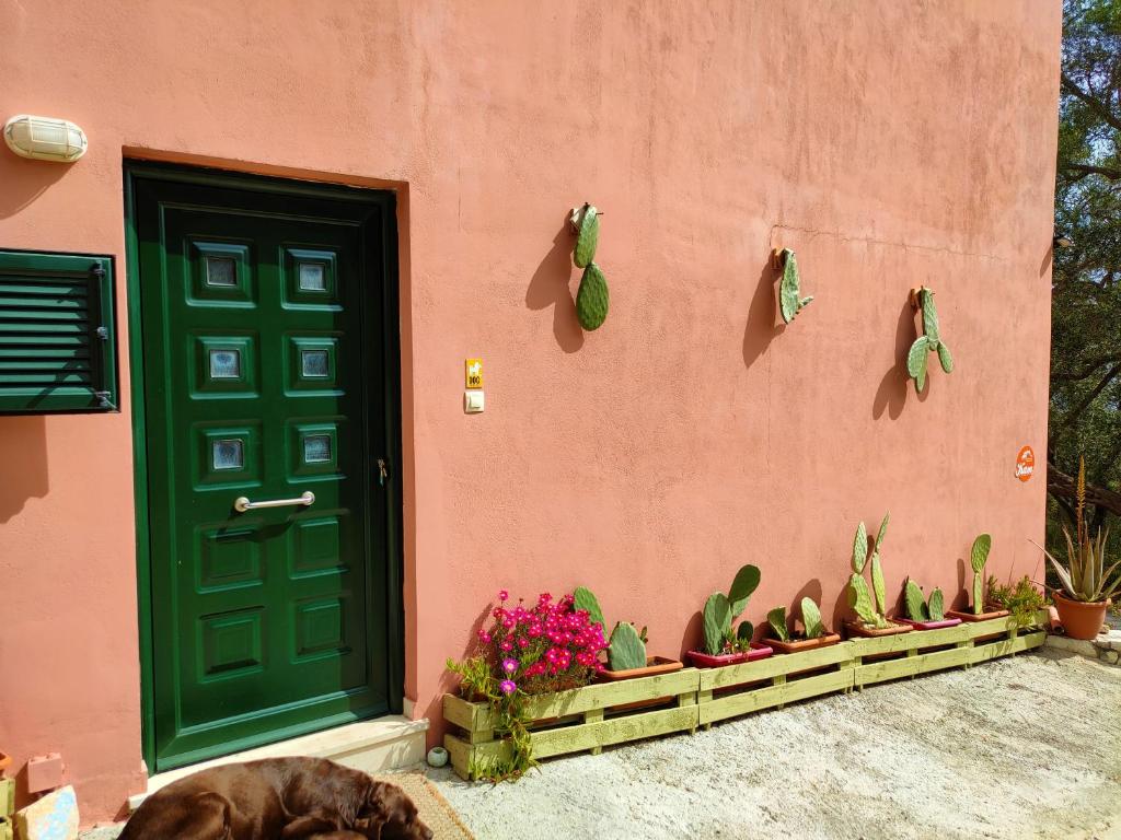 Zahrada ubytování Margarita Apartments Paxos - Studio Kam
