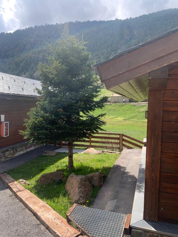 a tree in a yard next to a house at SISCARO - Peu del Riu 310 - Vall d'Incles - Soldeu in Incles