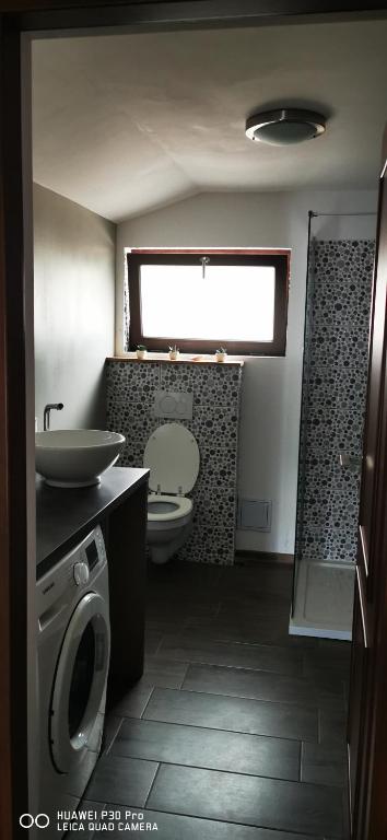 Fotografie z fotogalerie ubytování Luca's home v destinaci Oršava