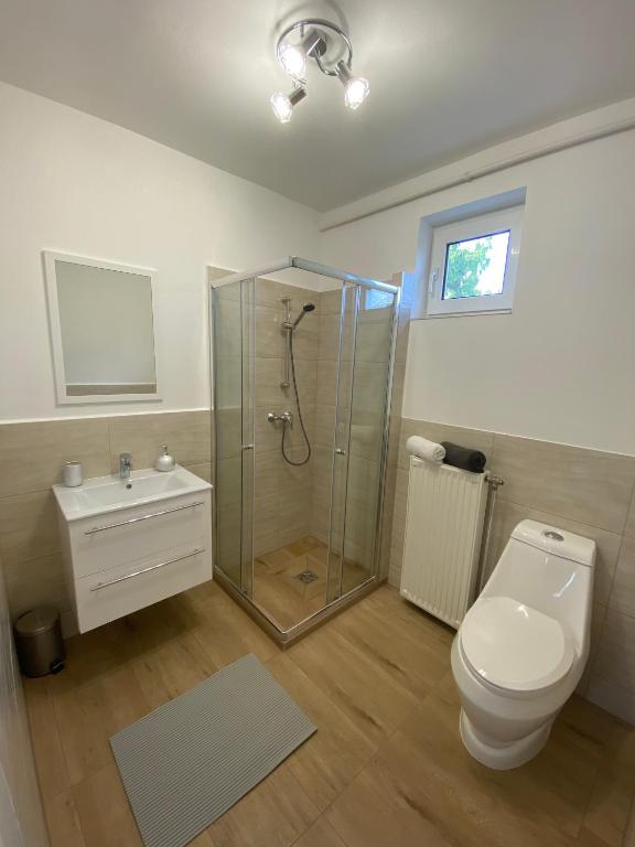 Kúpeľňa v ubytovaní Apartman Szanyi