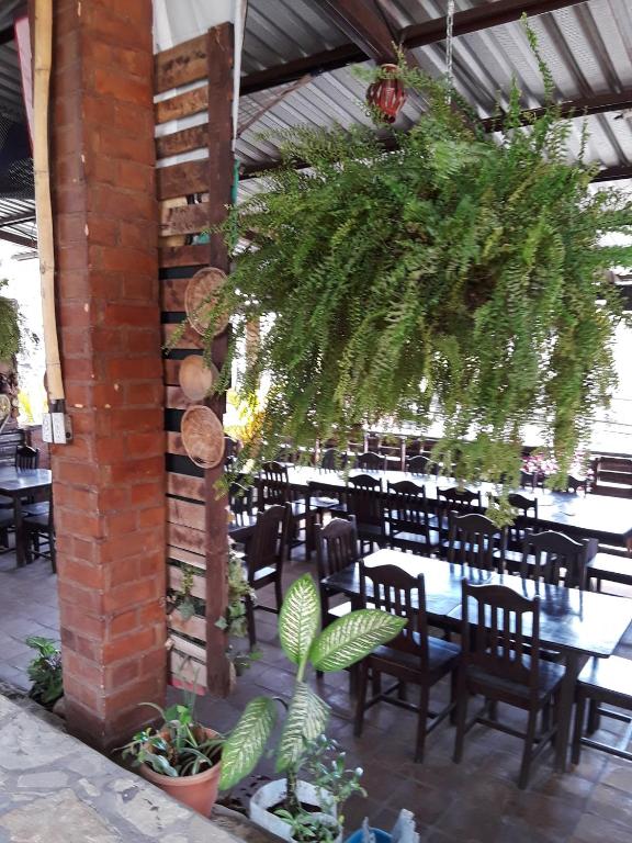 Restaurace v ubytování HOTEL EL ALMENDRO