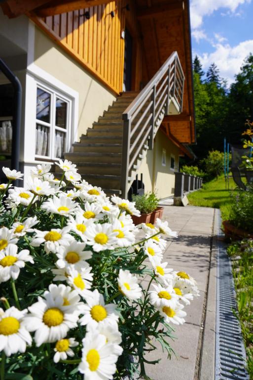 a bunch of white and yellow flowers in front of a building at Ferienwohnung Heidi in Leutschach