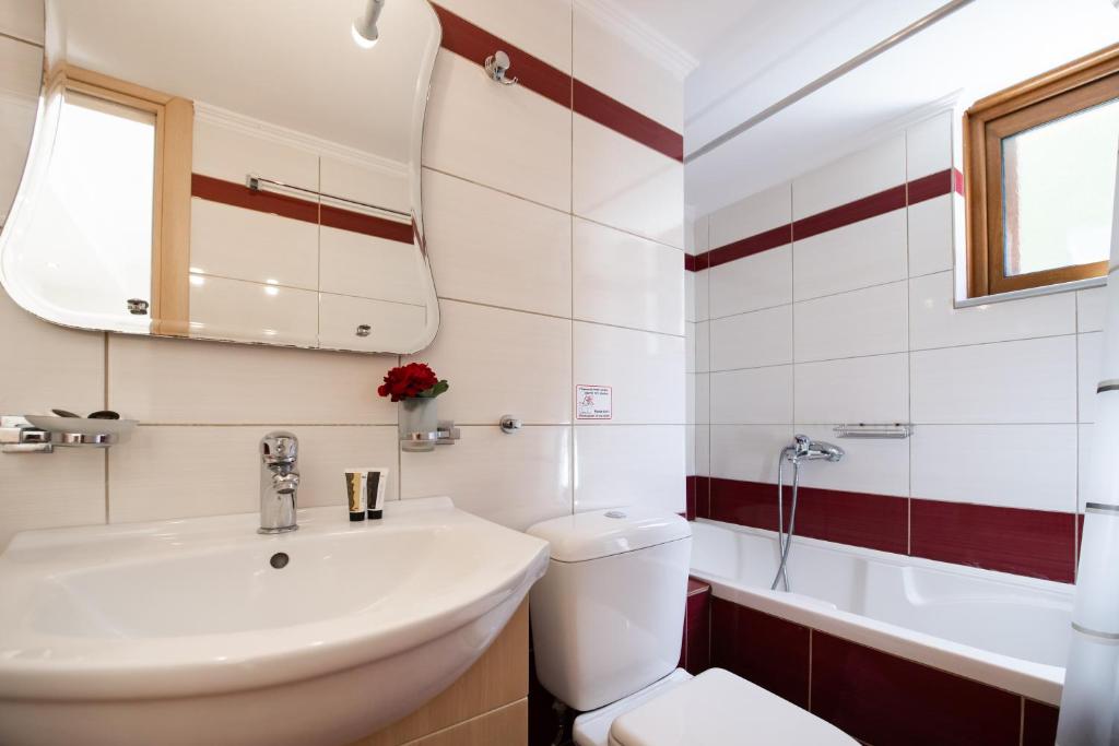 a bathroom with a sink and a toilet and a mirror at Delphinus Villa Nefeli in Agios Nikitas