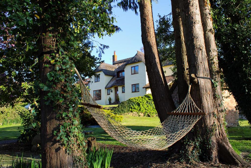 a hammock hanging between two trees in front of a house at Shells Cottage in Washford