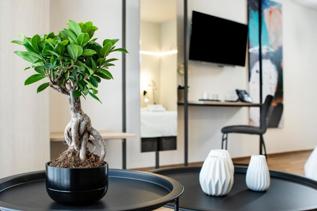Local Urban Living - Resim 14