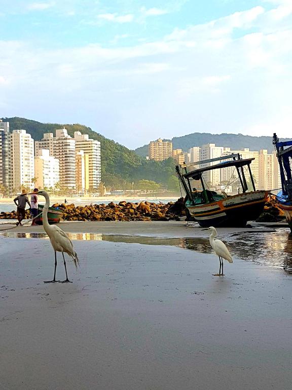  Guarujá Astúrias