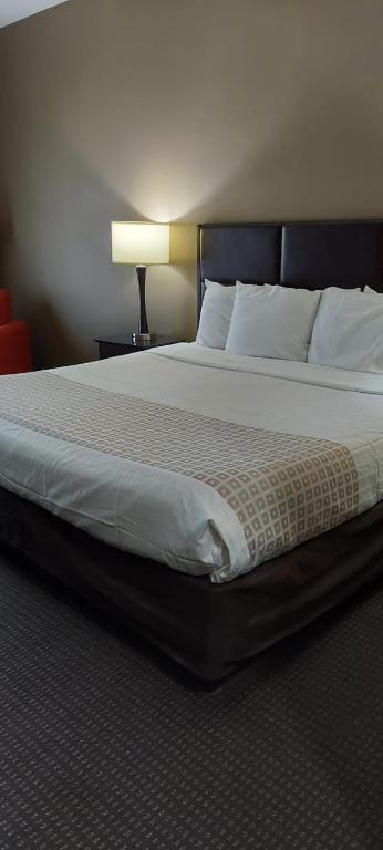 Parkwood Inn & Suites - King Room - Acceso A La Discapacidad