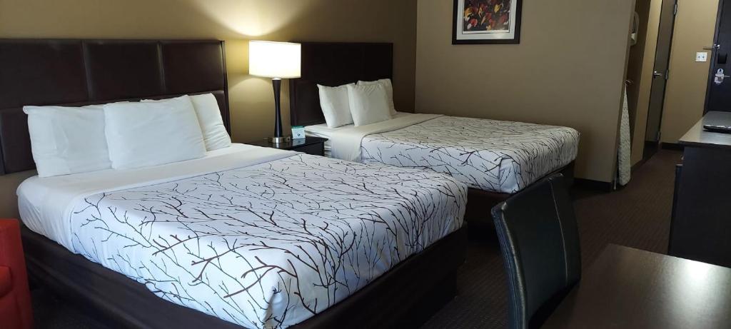 Parkwood Inn & Suites - Habitación Queen Con Dos Camas Queen