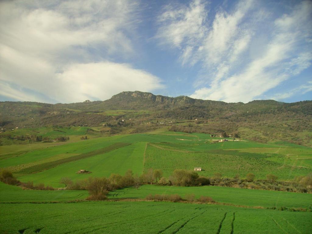 Príroda v okolí hotela