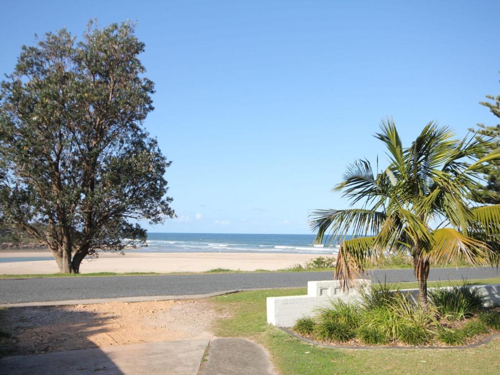 a view of a beach with a palm tree and a road at Beachfront 4 Unit 4 of 12 Bundella Ave LC in Lake Cathie