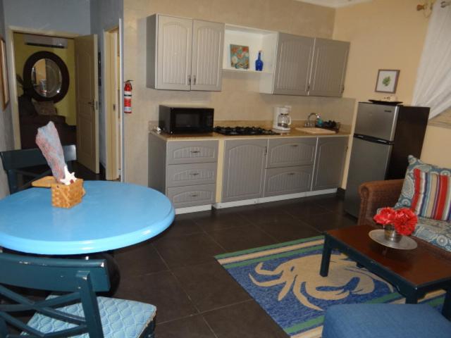 Dapur atau dapur kecil di Rollezz Villas Beach Resort