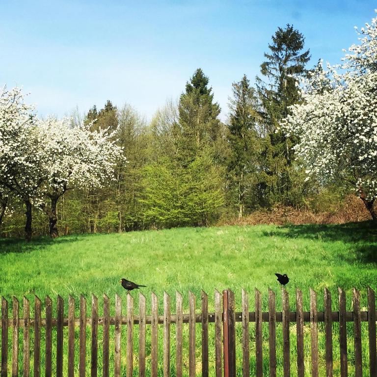 Zahrada ubytování Ubytování Pod lázněmi Klimkovice