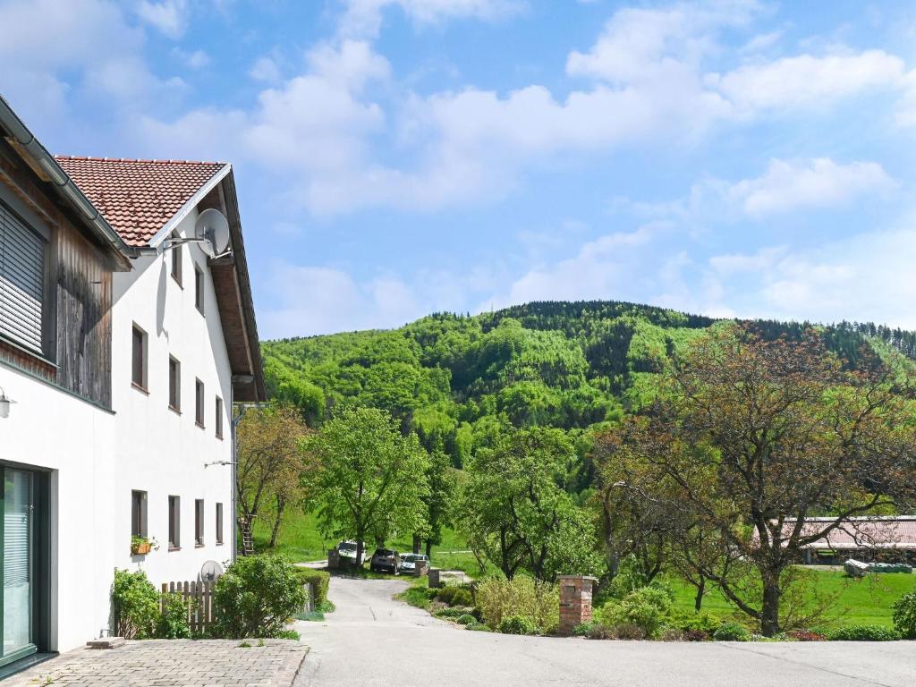 ein Haus mit Bergblick in der Unterkunft Loft like apartment in Scheibbs with swimming pond in Scheibbs