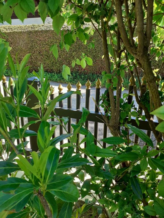 Giardino di Reitbergs Nest