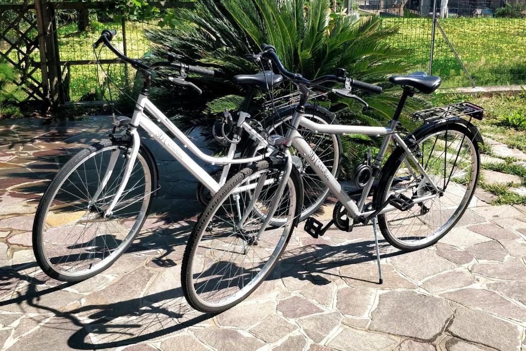 Jazda na bicykli v okolí ubytovania 36 cattolica