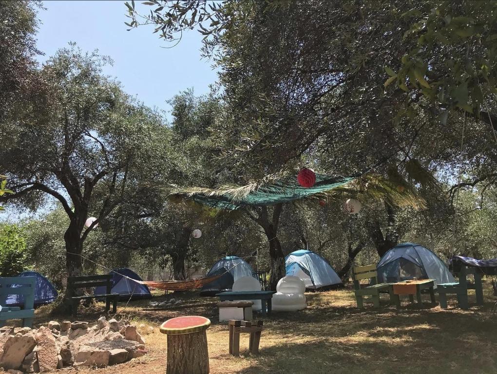 Vuno Camping Jale Al Albania Booking Com