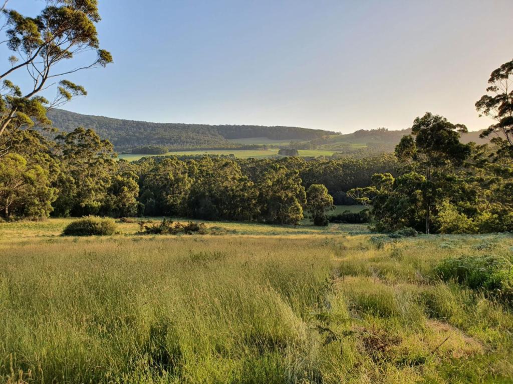 a field of grass with trees in the background at Little River Farm Cottages in Denmark