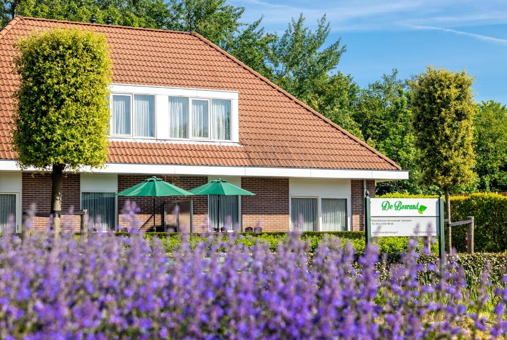 een huis met paarse bloemen ervoor bij Bosrand Domburg in Domburg