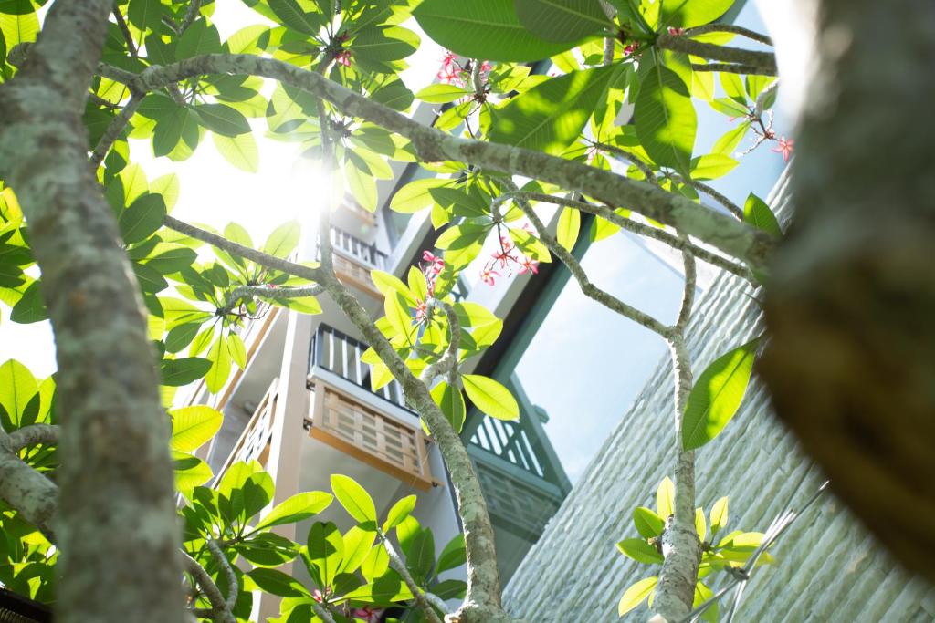 SHAN Villas Sukhumvit - Resim 26