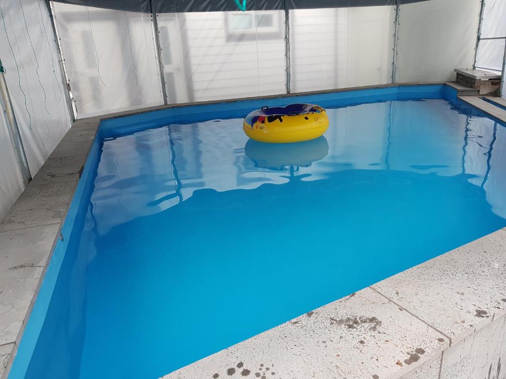 una piscina con una bola amarilla en el agua en Pinky Marine Pension en Namhae