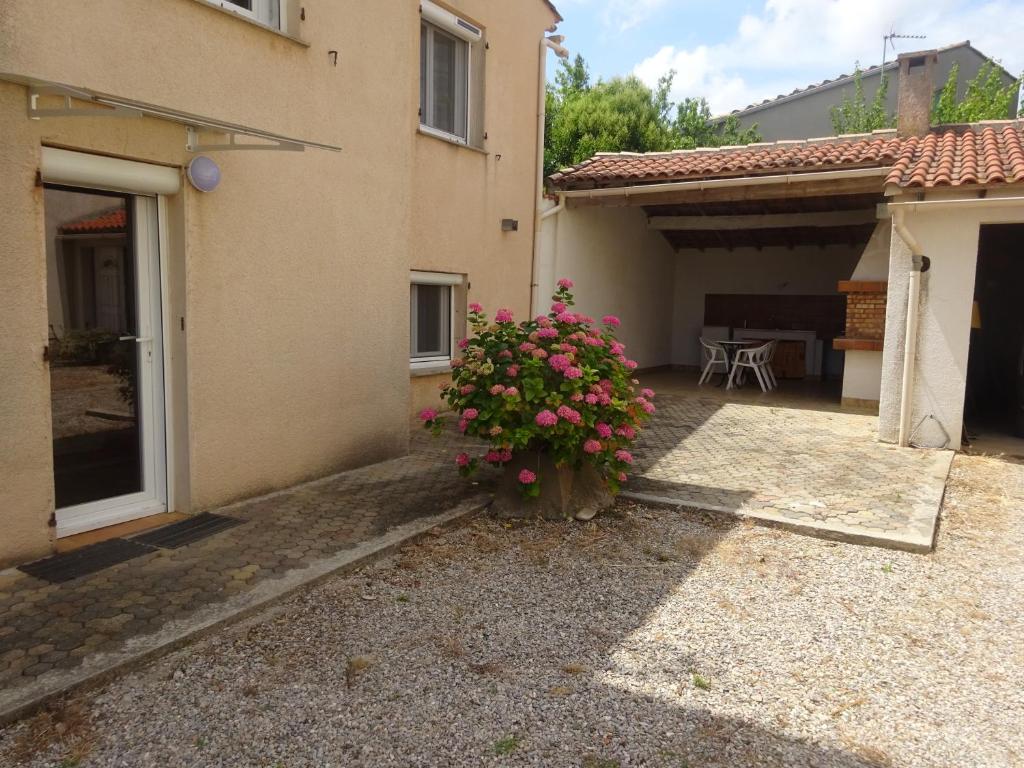 a house with a pot of flowers in the yard at Entre mer et lac Salagou in Saint-André-de-Sangonis