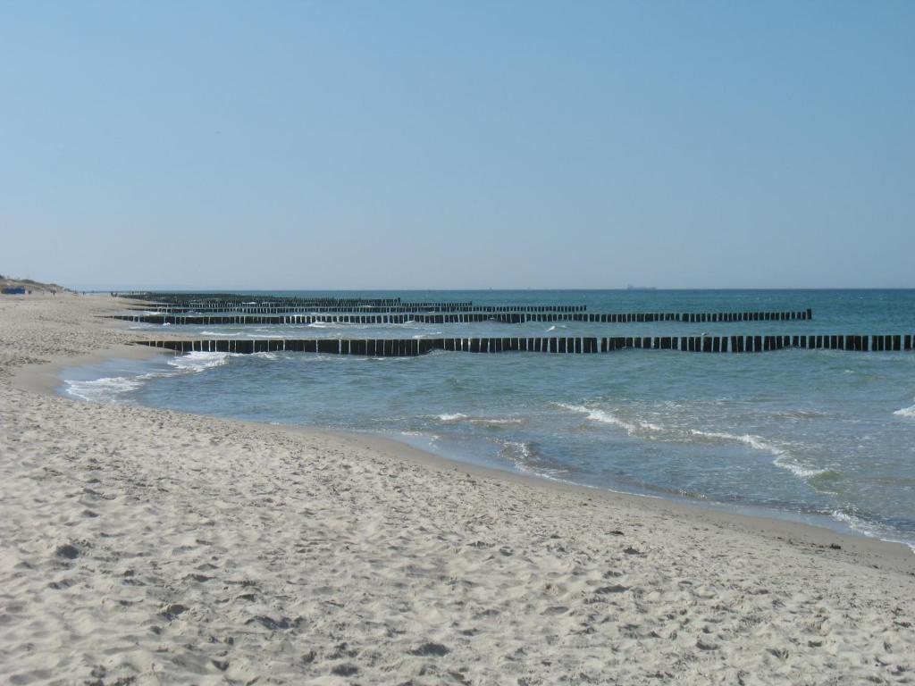 a sandy beach with a pier in the water at Seenadel in Gelbensande