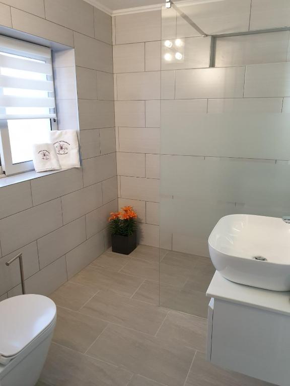 Koupelna v ubytování Molnar Resort Apartment Sergej