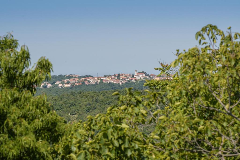 Príroda v okolí vily
