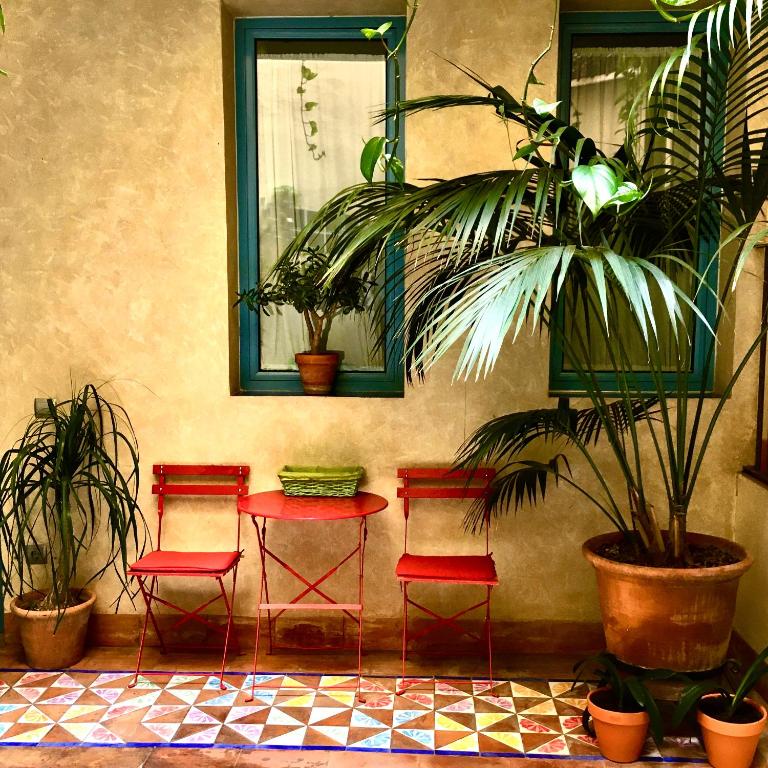 A garden outside Hotel Conde de Cárdenas