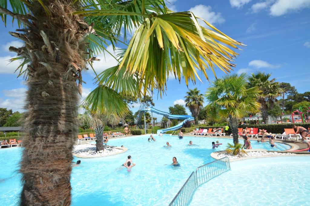 un grupo de personas en una piscina con una palmera en Mobilhome climatisé 6 psn, en Lège-Cap-Ferret