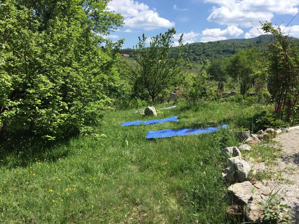 a row of blue tarp barriers in the grass at Kokin Brod Apartments in Kokin Brod