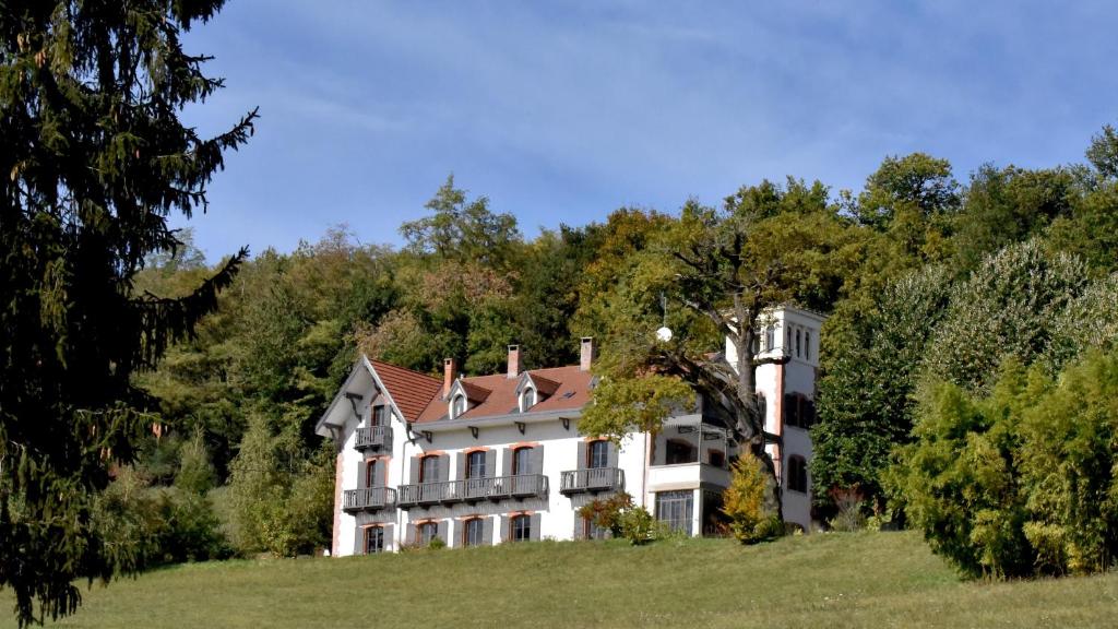 Le Domaine de Dony في Balbins: منزل أبيض كبير على تلة بها أشجار