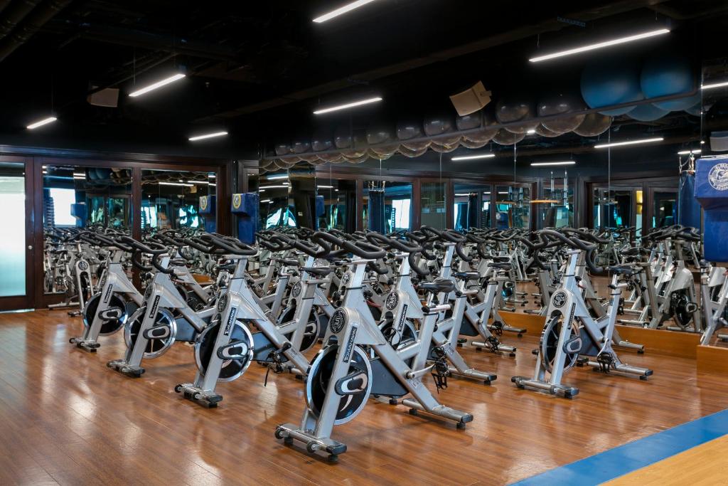 Fitness centrum a/nebo fitness zařízení v ubytování Titanic Business Kartal