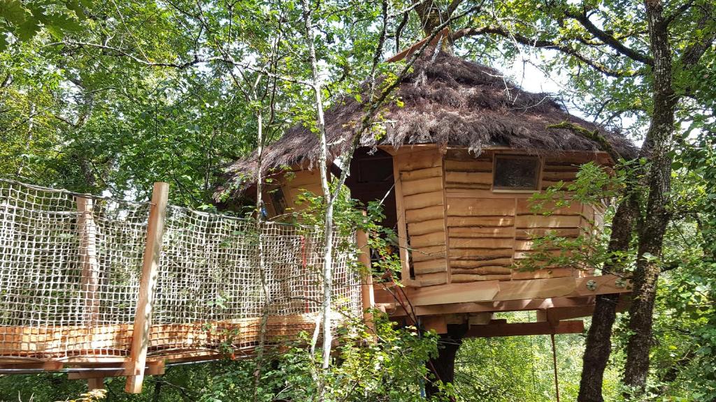 ein Baumhaus mit Strohdach in der Unterkunft Cabane Dans Les Arbres - Les Lutins in Mechmont