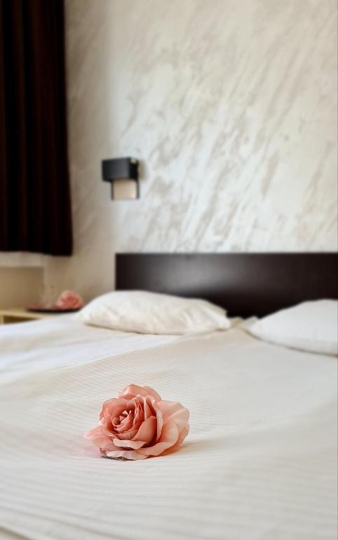 a pink rose sitting on top of a bed at Hotel Royal Drina in Mali Zvornik