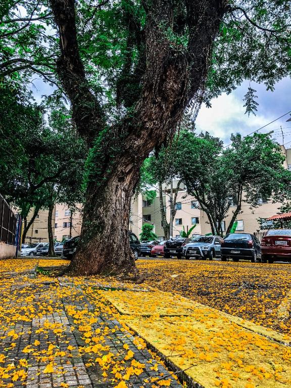  Apartamento Aconchegante - Alto de Pinheiros