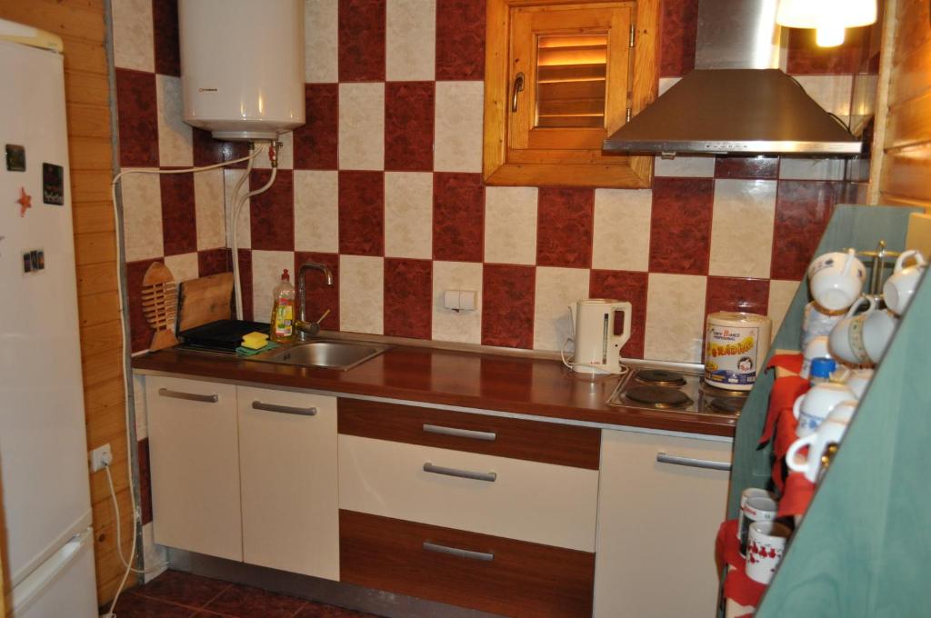 Kuchyň nebo kuchyňský kout v ubytování Casa Agapie