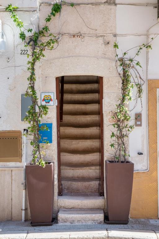 Fotografie z fotogalerie ubytování CIVETTHOUSE : la casa delle civette v destinaci Polignano a Mare