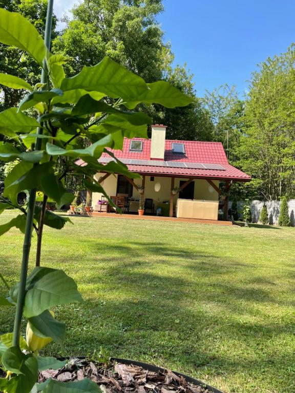 Uchankowo pod Łowiczem, Łyszkowice (updated prices 2025)