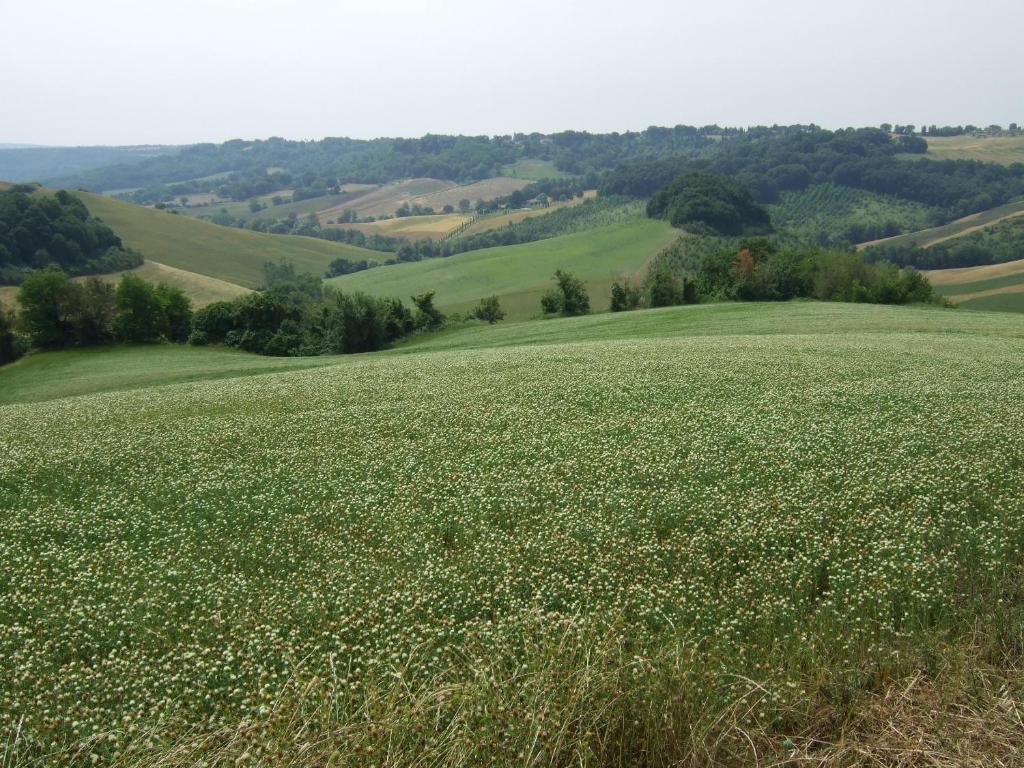 Příroda nedaleko farmy