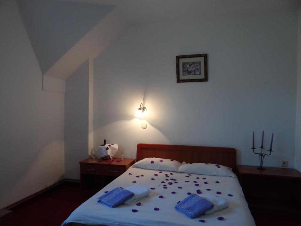 Planinarski Centar Petehovac - 3