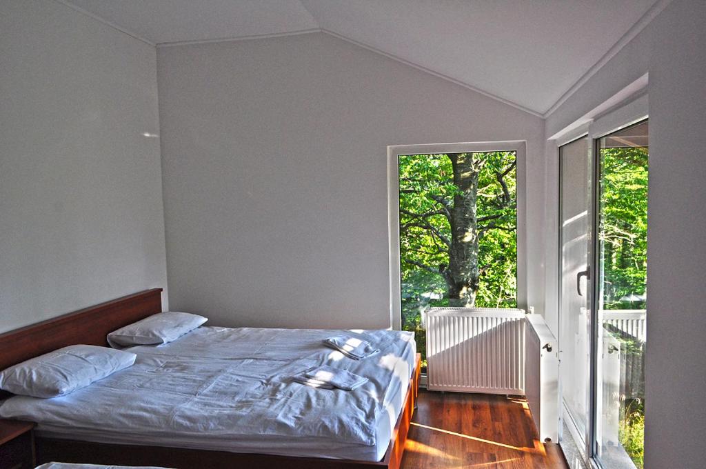 Planinarski Centar Petehovac - 6