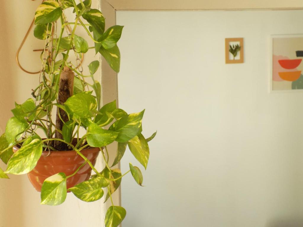  Quarto Jabuticaba