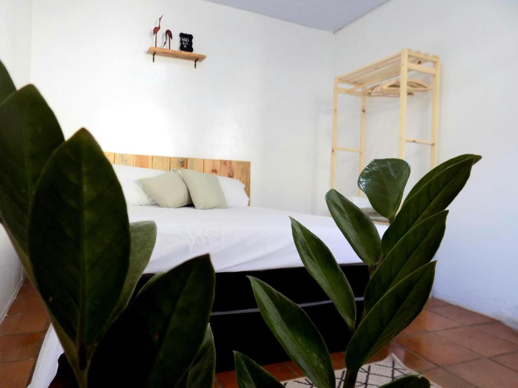  Quarto Jabuticaba