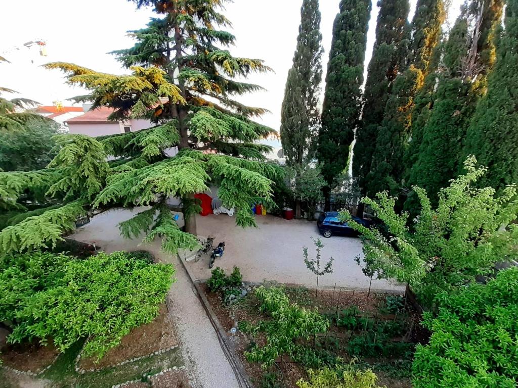 Zahrada ubytování Villa Libe