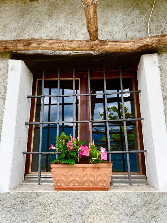 Fotografie z fotogalerie ubytování Casa Edi v destinaci Locarno